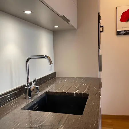 公寓 Appart Palace Astoria - Climatise - 2 Balcons - 2 Sdb