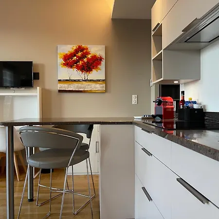 公寓 Appart Palace Astoria - Climatise - 2 Balcons - 2 Sdb 艾克斯莱班