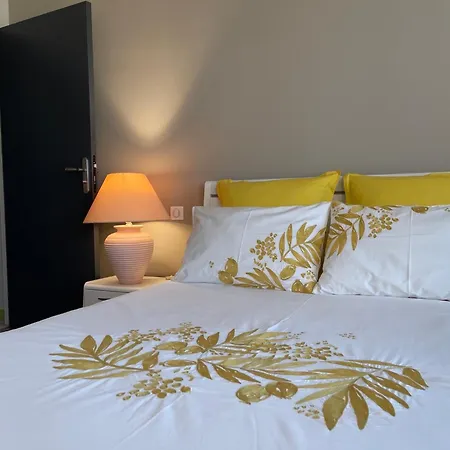 公寓 Appart Palace Astoria - Climatise - 2 Balcons - 2 Sdb *